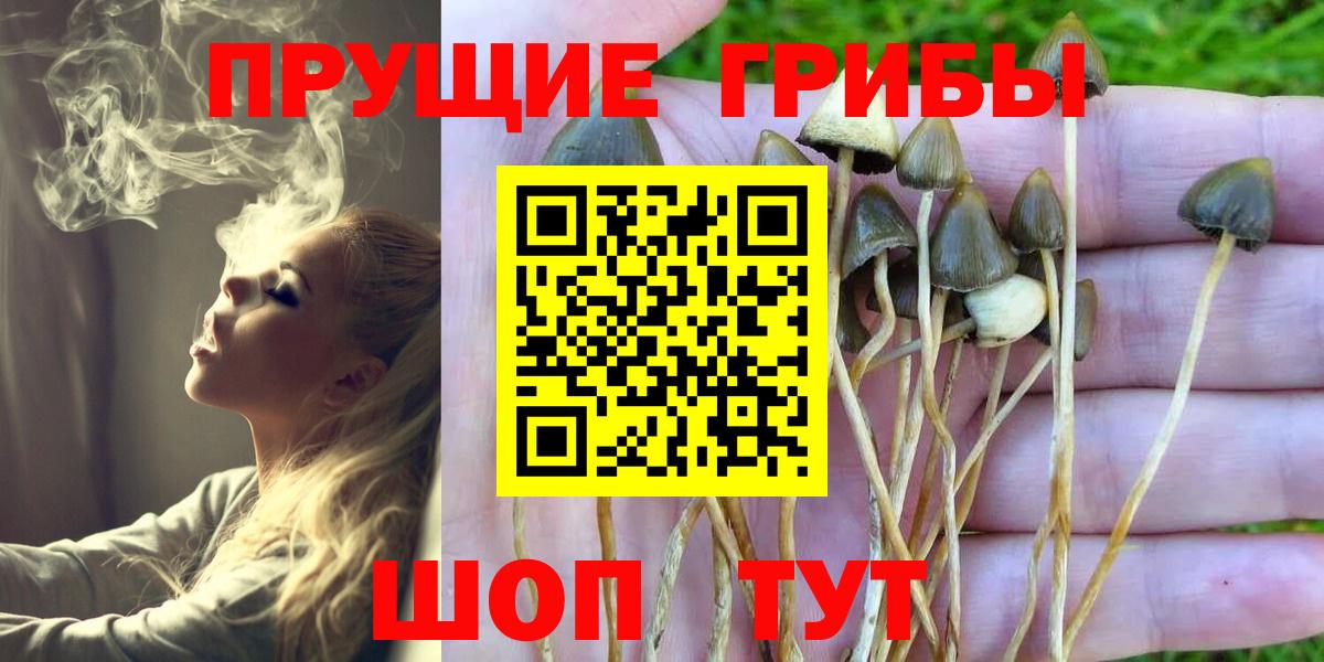 Псилоцибиновые грибы мухоморы  Вход с VPN  Сергиев Посад 